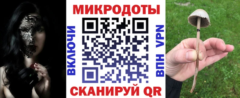 Псилоцибиновые грибы прущие грибы Балашиха