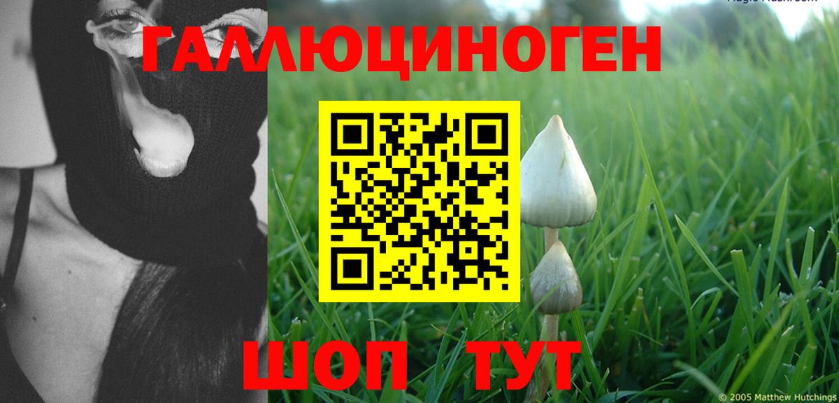 Псилоцибиновые грибы MAGIC MUSHROOMS  даркнет сайт  Галлюциногенные грибы Psilocybe  Балашиха  Вход с VPN 